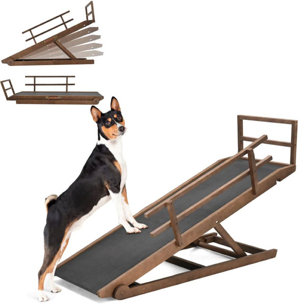 Tucker Murphy Pet™ Dog Ramp,Adjustable Folding Pet Ramp For Bed, Couch